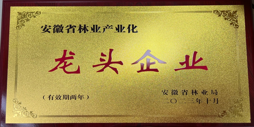 綠葉集團(tuán)榮獲“安徽省林業(yè)產(chǎn)業(yè)化龍頭企業(yè)”稱號(hào)